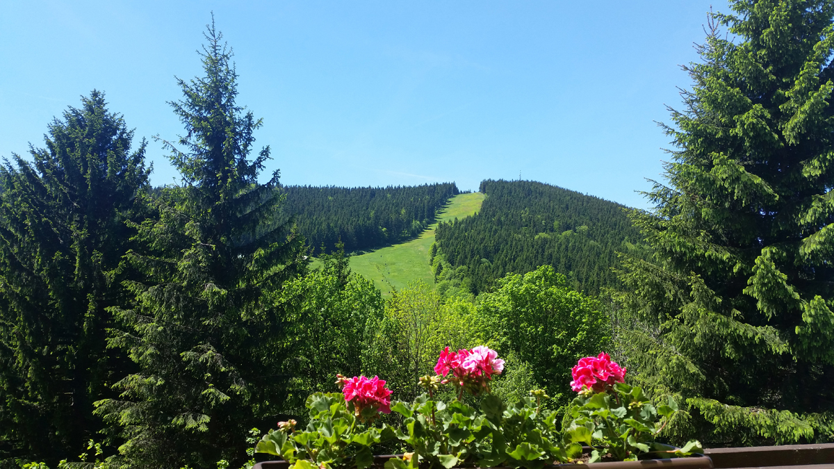 Parkhotel Harrachov 7