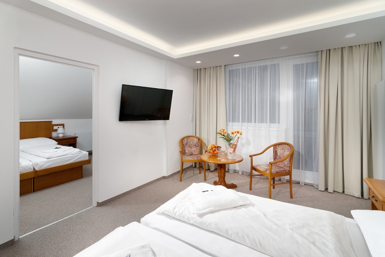 Hotel Wellness Hotel Astra