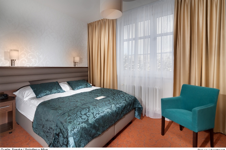 Hotel Hotel Sněžka