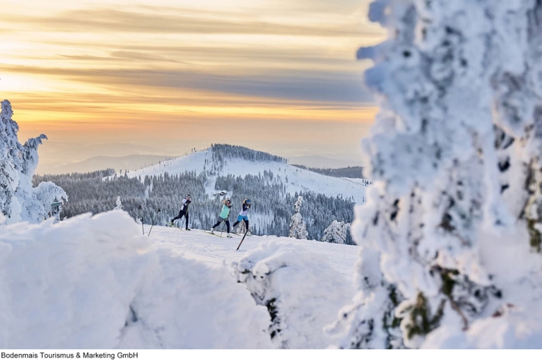Hotel Das Arber-Hotel am Rothbach