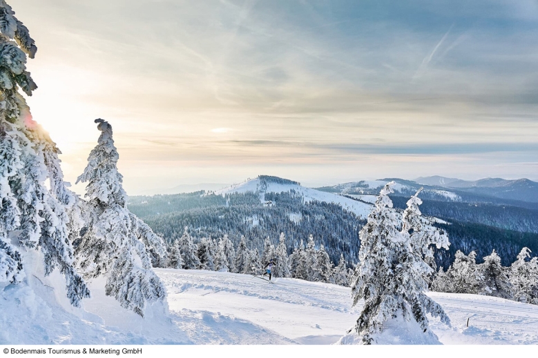 Hotel Das Arber-Hotel am Rothbach