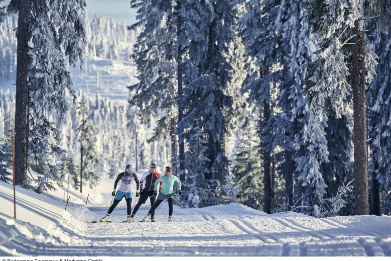 Hotel Das Arber-Hotel am Rothbach