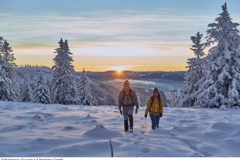 Hotel Das Arber-Hotel am Rothbach
