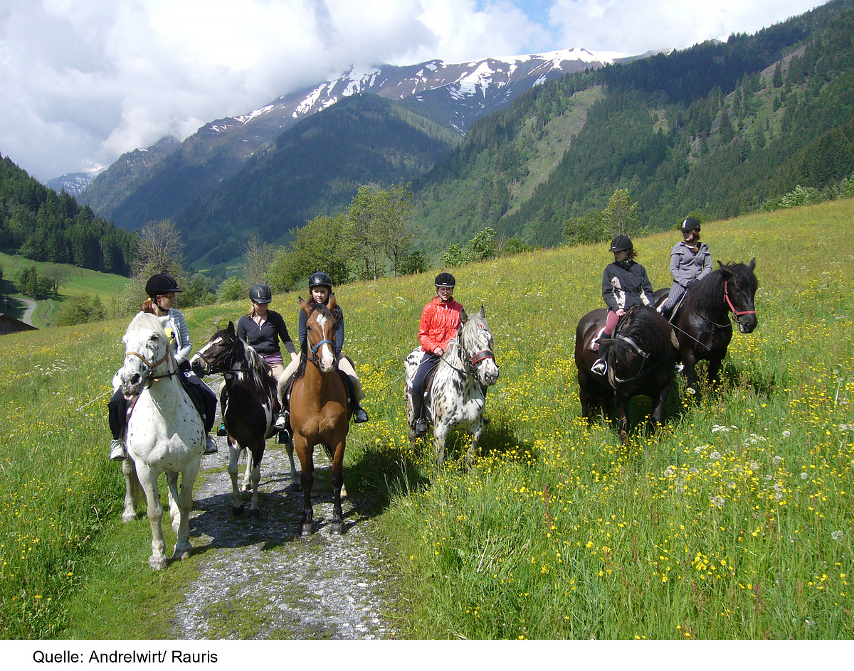 Gasthof Andrelwirt 17