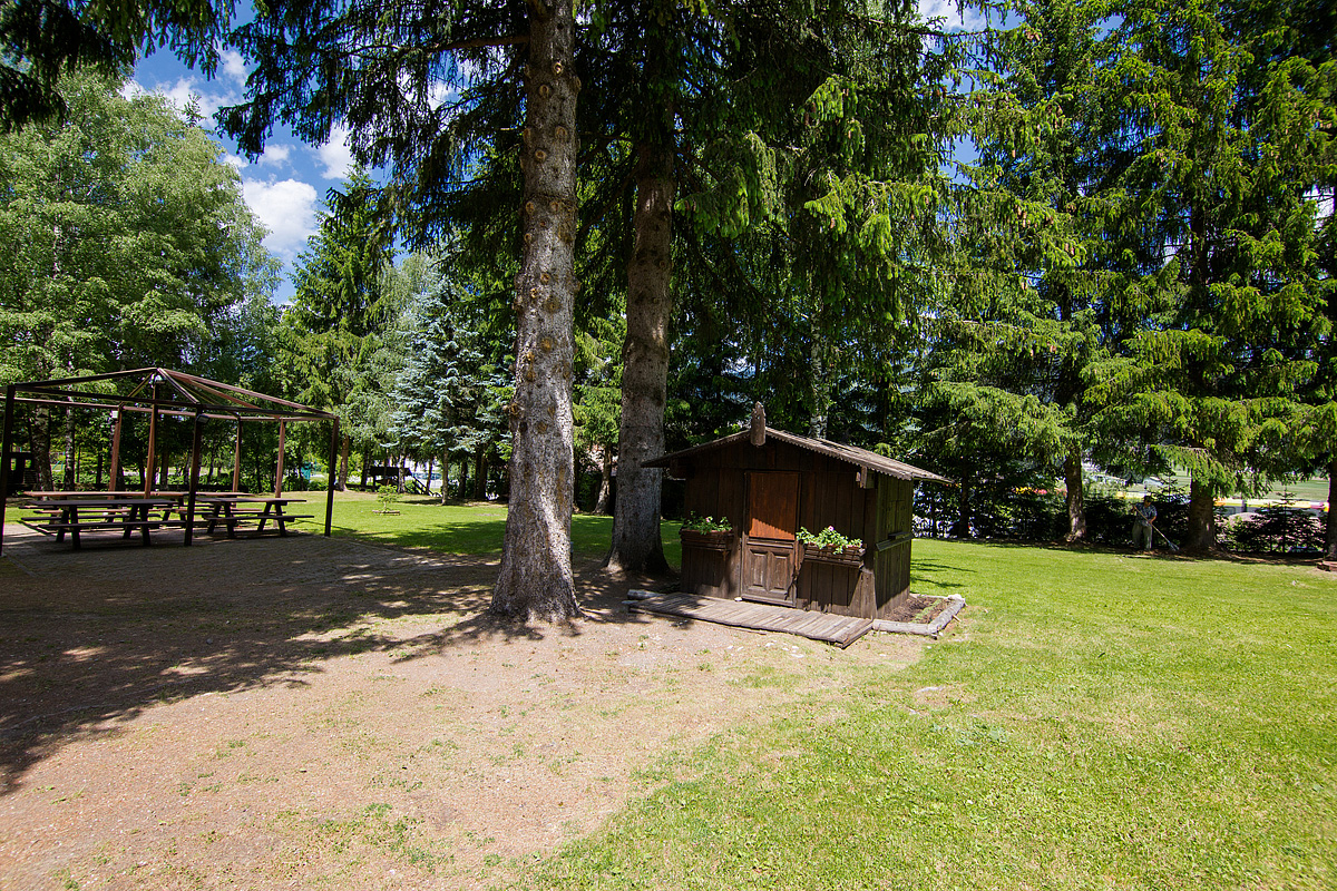 Hotel Casa Alpina  35