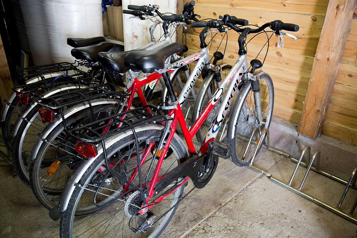 Hotel Casa Alpina  36