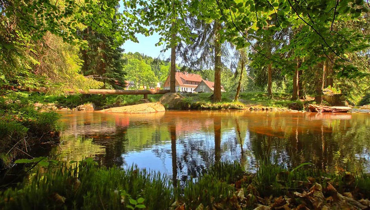 Hotel Perla Jizery 4