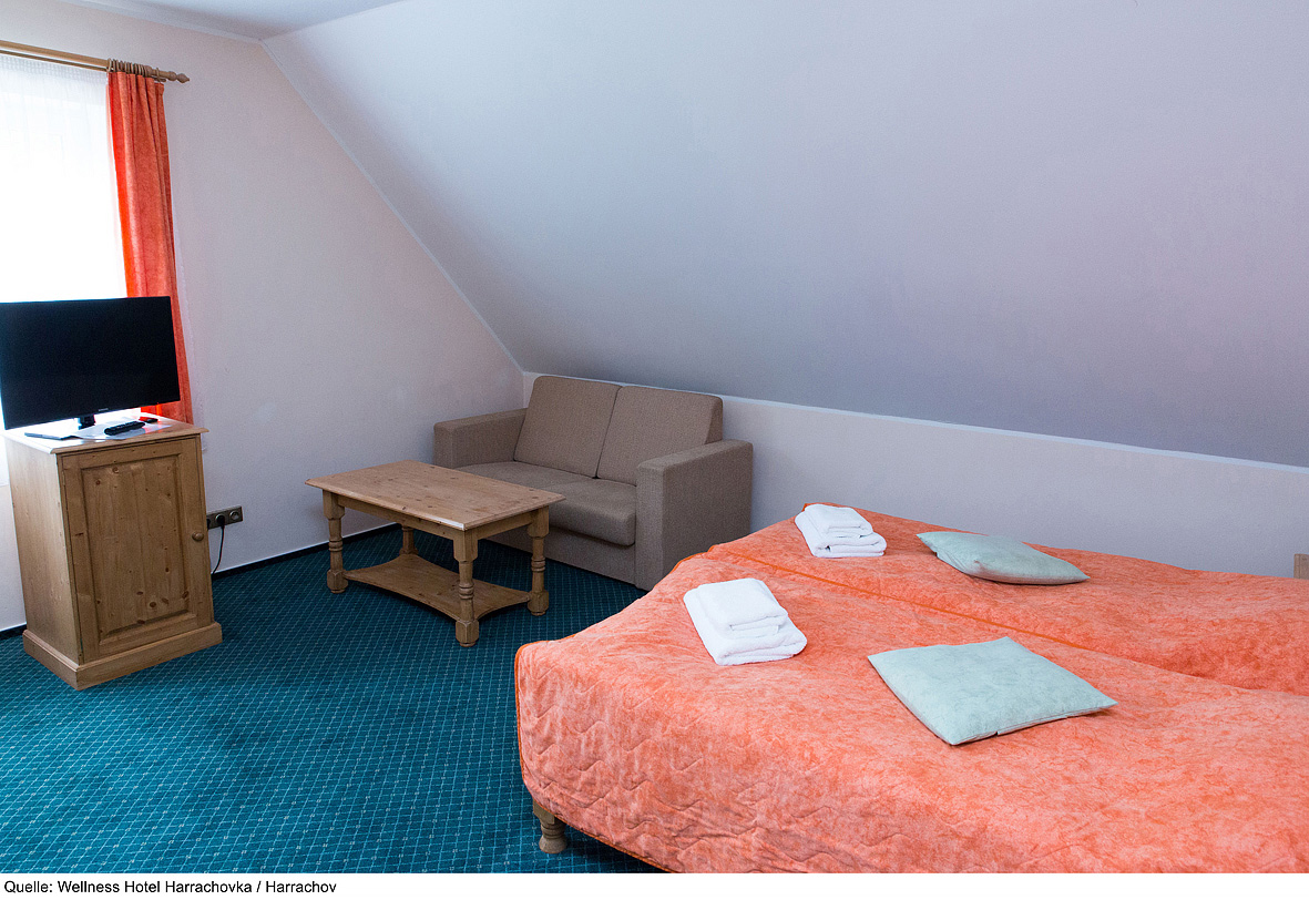 Wellness Hotel Harrachovka 2