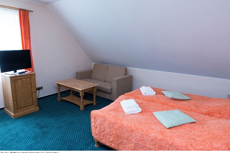 Hotel Wellness Hotel Harrachovka