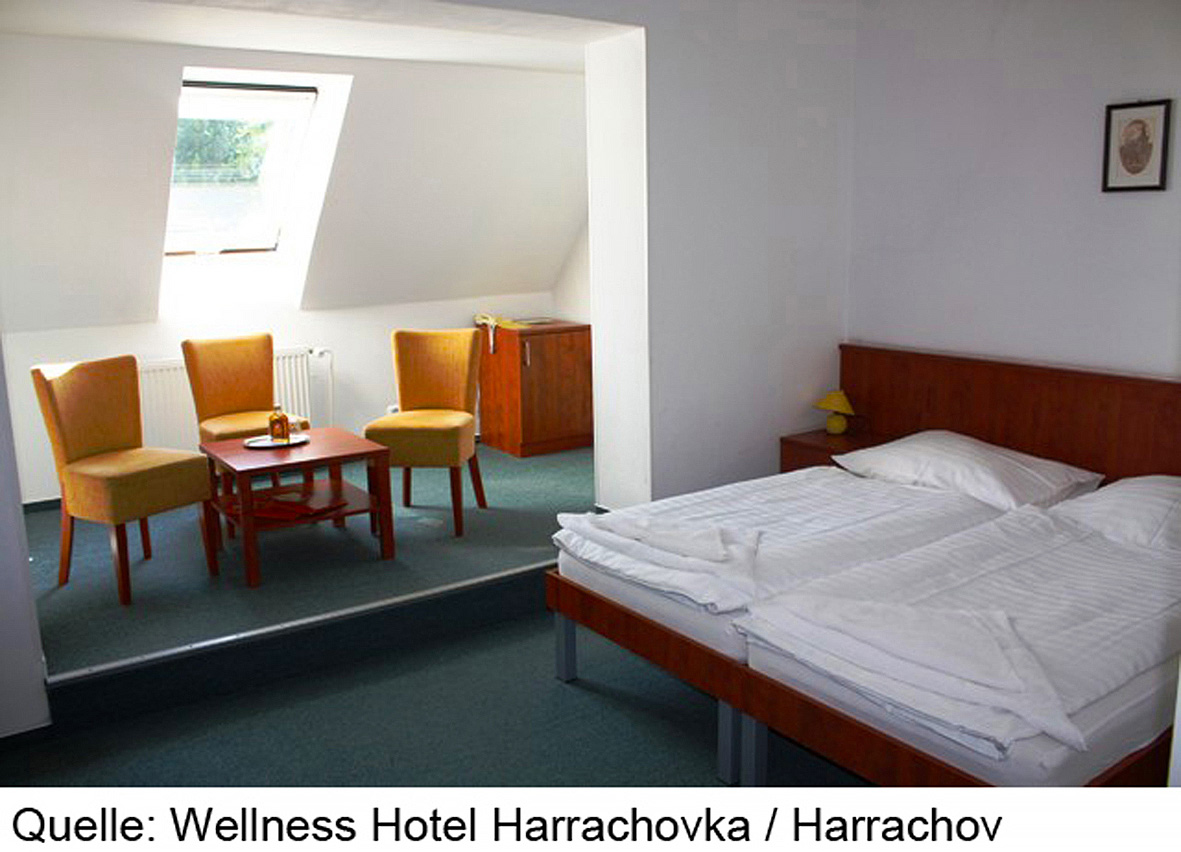 Wellness Hotel Harrachovka 7