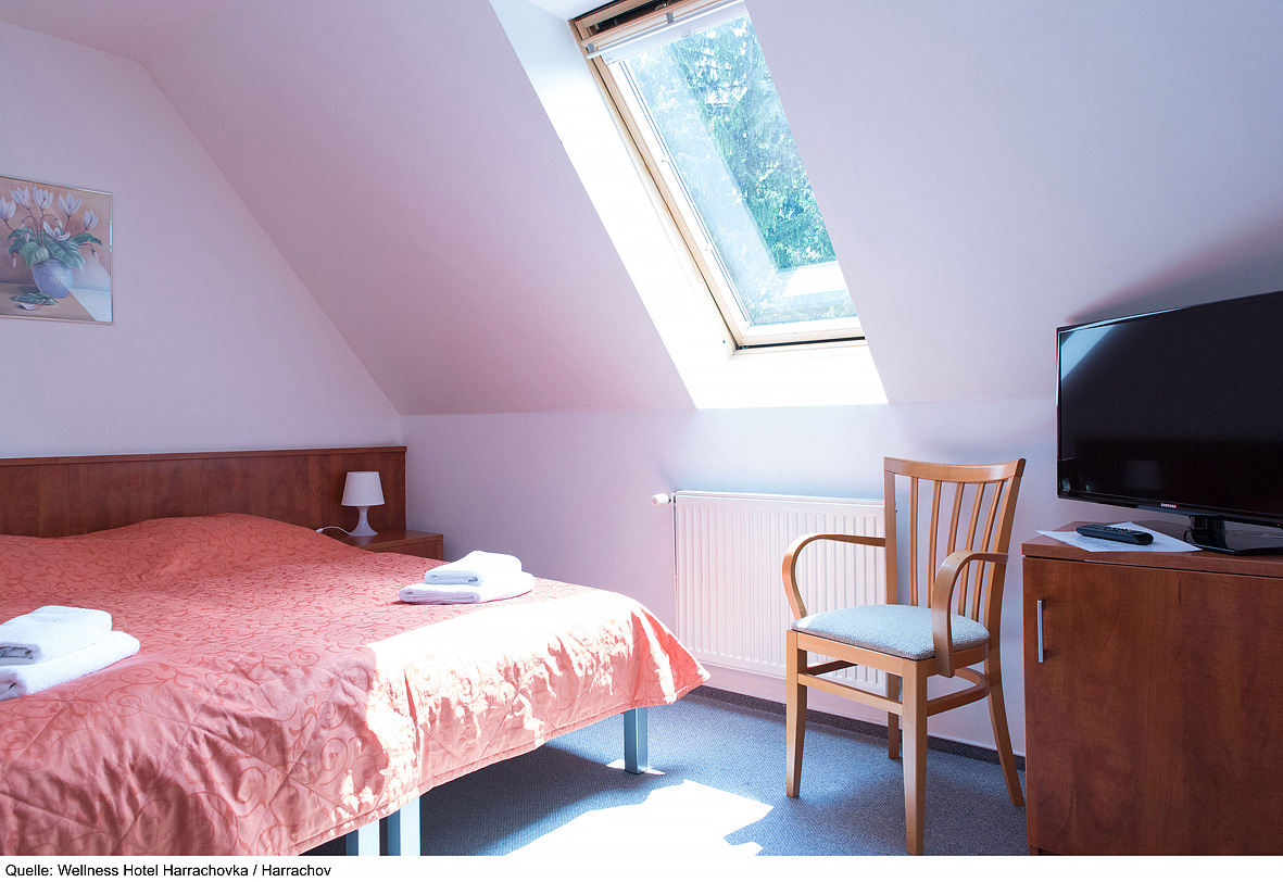 Wellness Hotel Harrachovka 8