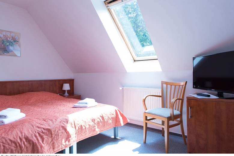 Hotel Wellness Hotel Harrachovka