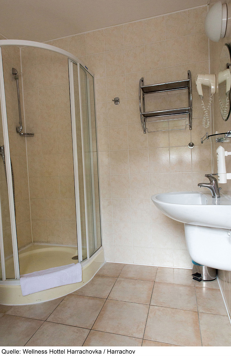 Wellness Hotel Harrachovka 9