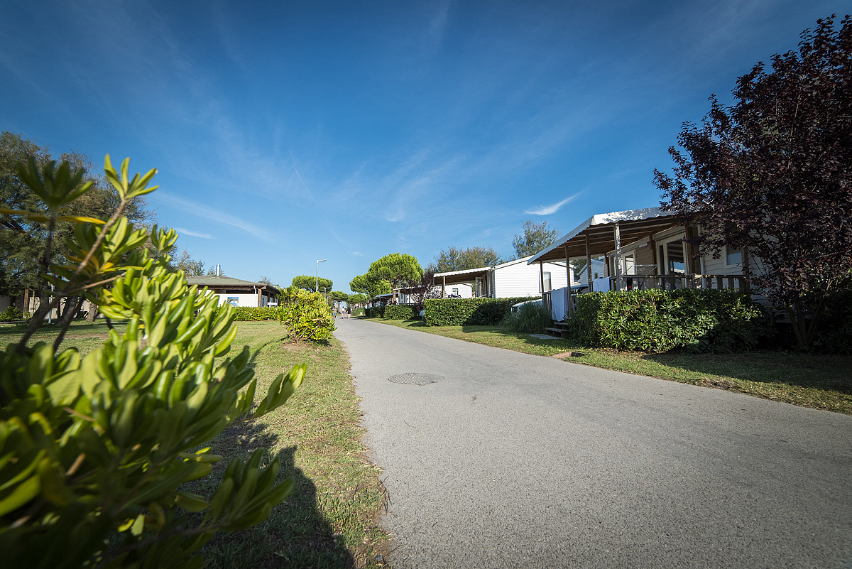 Vigna sul Mar Family Collection  11