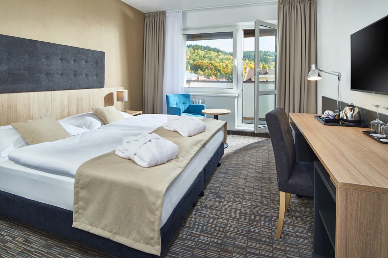 Hotel SPA Hotel Děvín