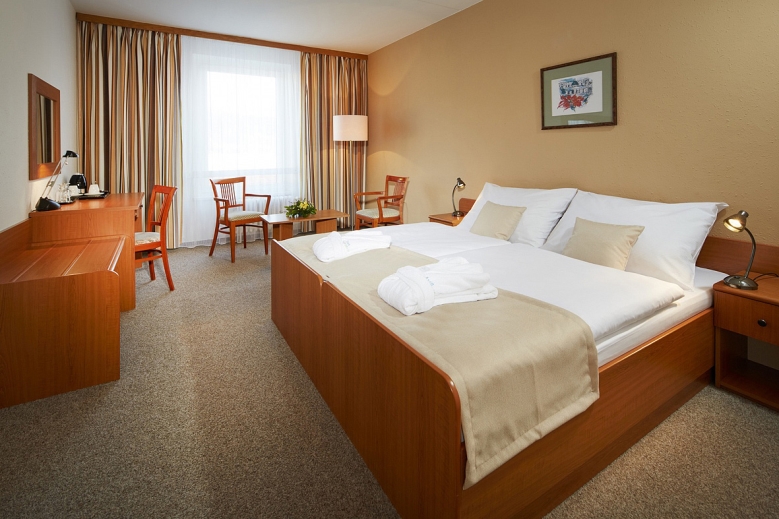 Hotel SPA Hotel Děvín