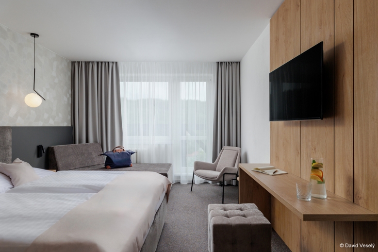 Hotel SPA Hotel Děvín