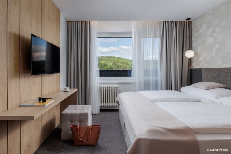 Hotel SPA Hotel Děvín