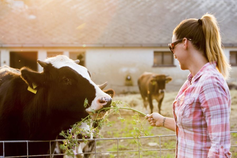 Hotel Hotel Aphrodite