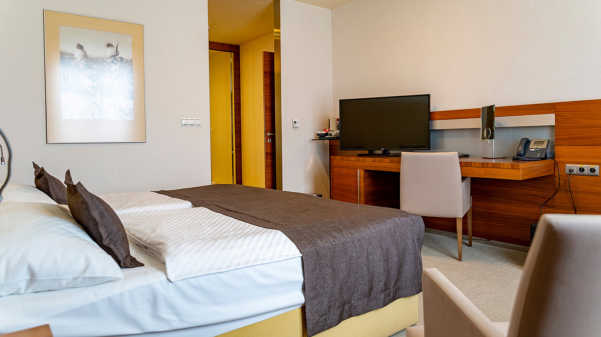 Hotel Mountain View 6