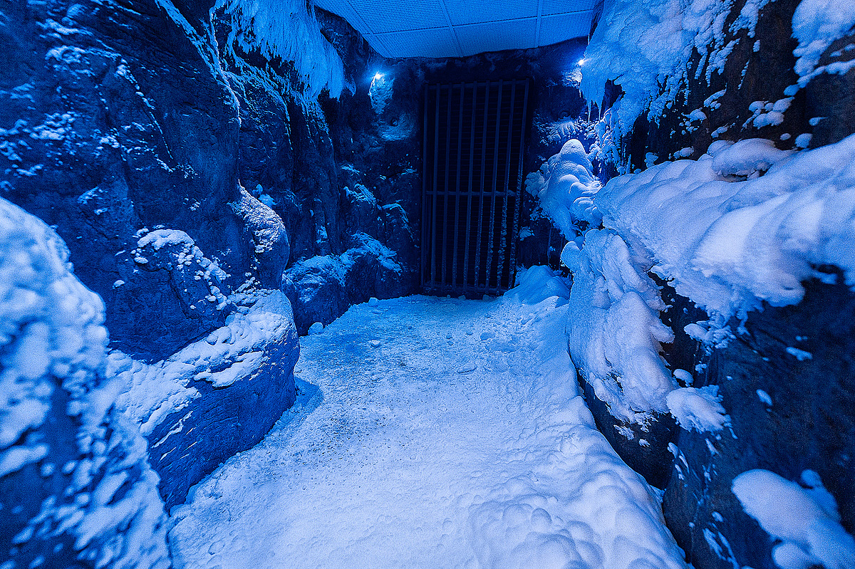 Hotel Mountain View 19