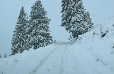 Hotel Rozka se skipasem ***