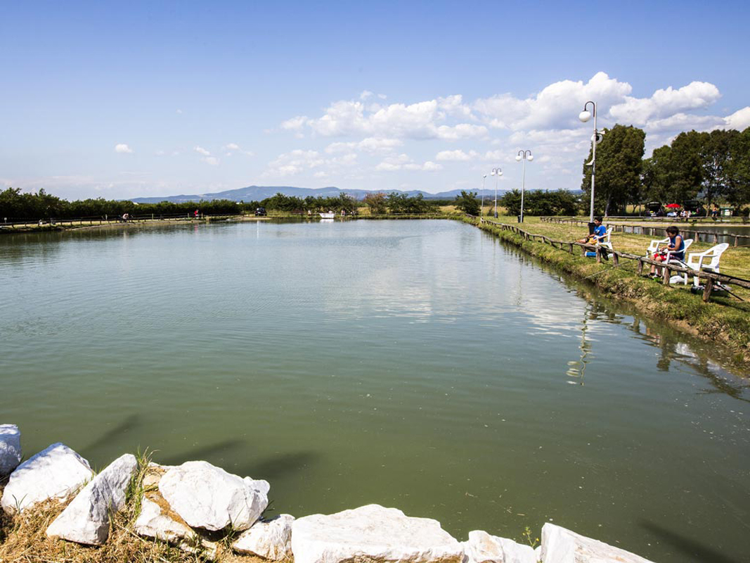 Free Time Camping Village 19