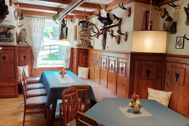 Hotel Hotel Pension Oswald  se skipasem