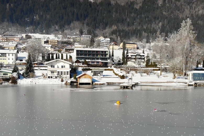 Hotel Seehotel Hoffmann