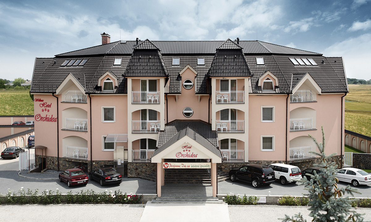 Hotel Orchidea  6