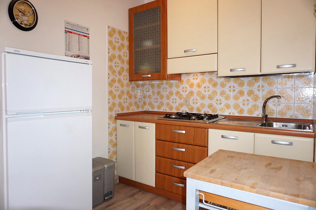 Residence Cutter / Holiday 11