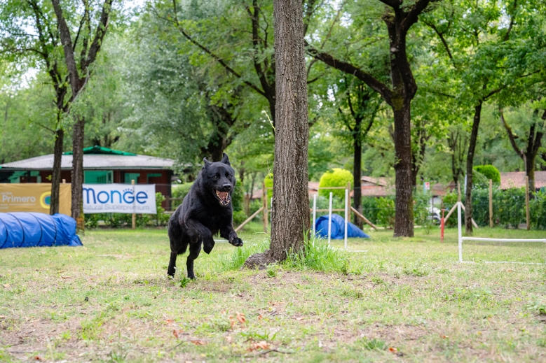 Hotel Tenuta Primero Grado Family Collection