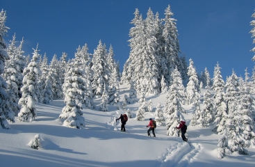 Alpin Resort Erzberg **** se skipasem