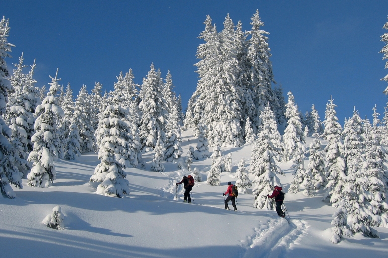 Hotel Alpin Resort Erzberg  se skipasem