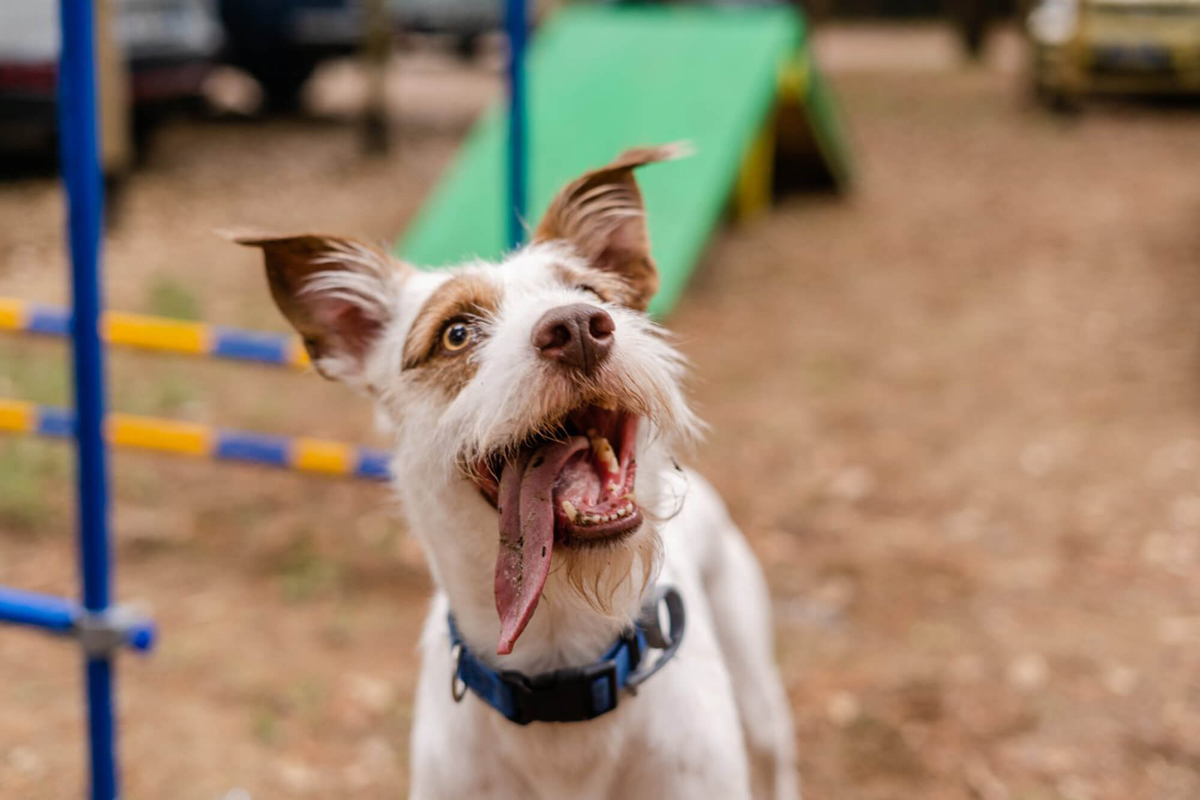 Jesolo Family Resort  28