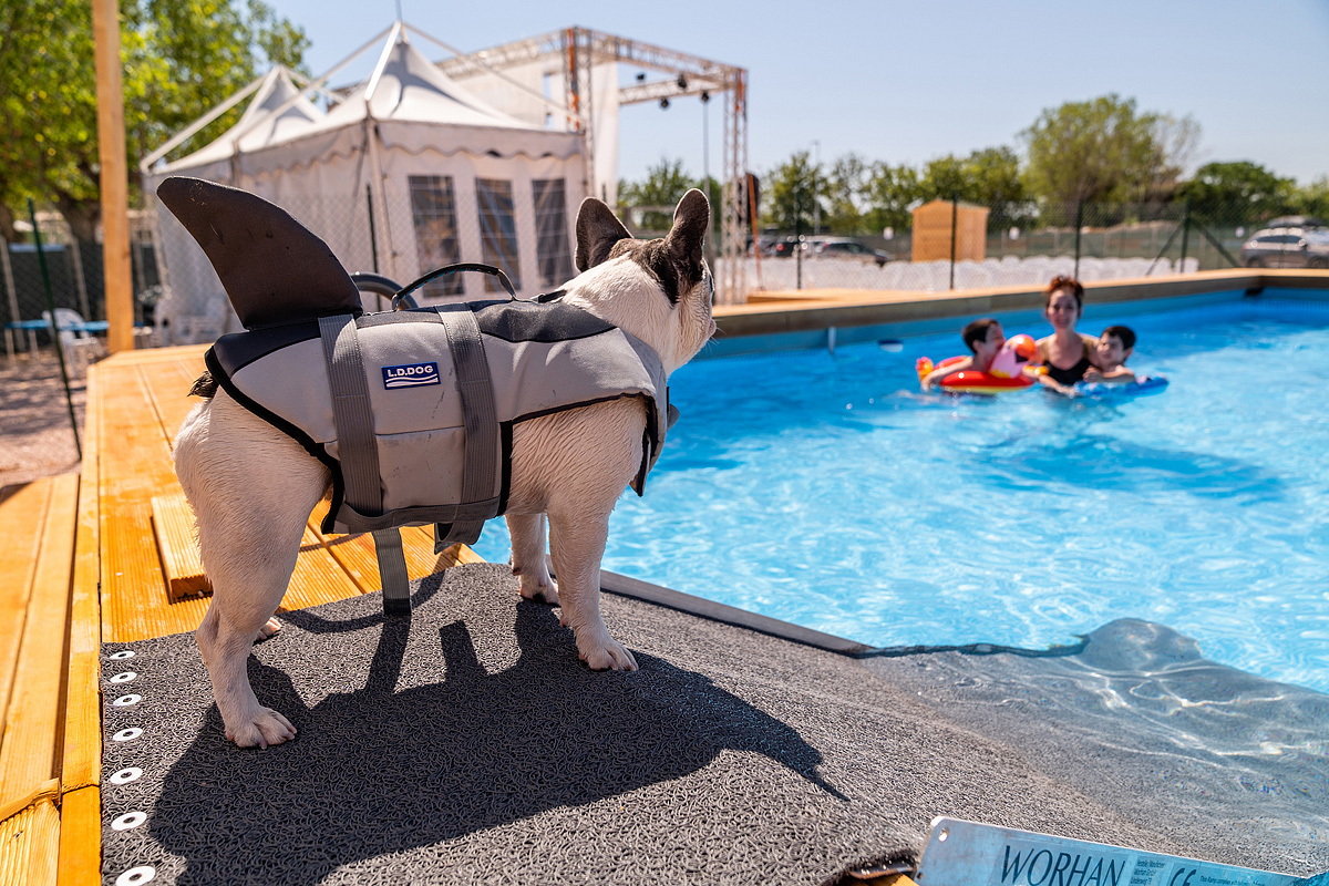 Romagna Family Resort  11