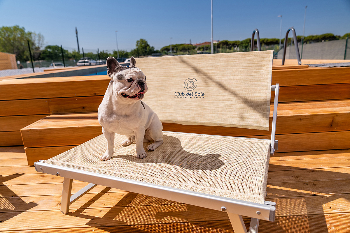 Romagna Family Resort  12