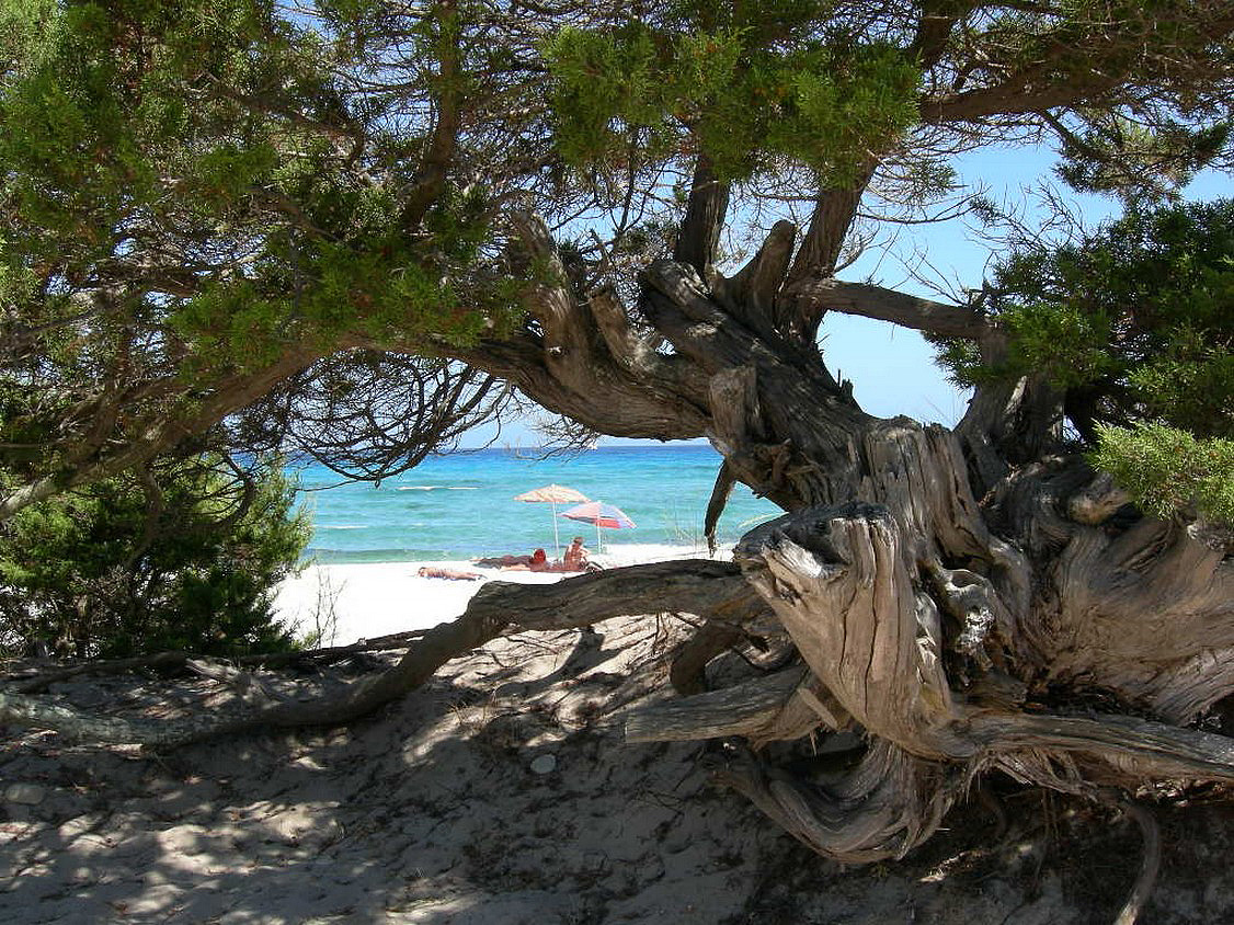 Residence Bouganvillage 43