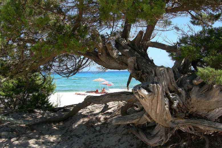 Hotel Residence Bouganvillage