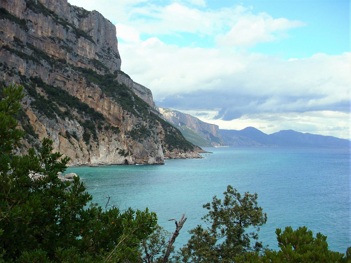 Residence Bouganvillage 45