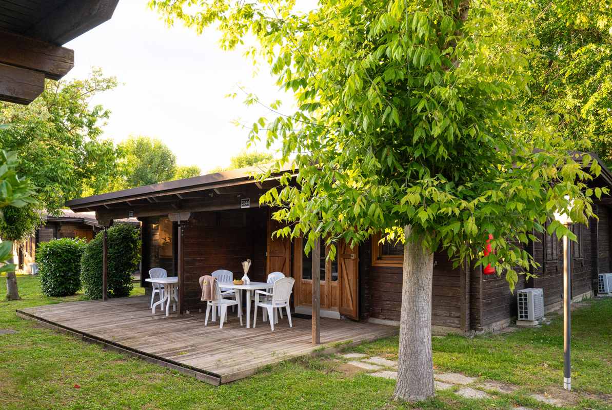 Adriano Family Collection 2