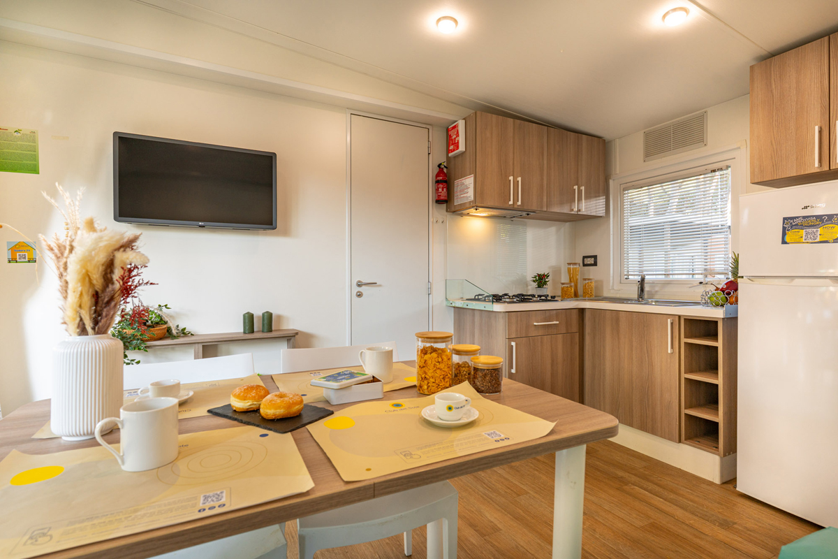 Adriano Family Collection 3