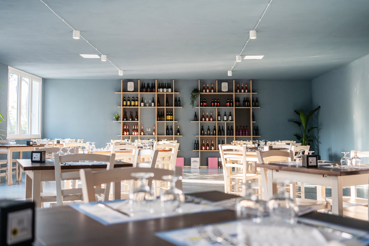 Adriano Family Collection 11