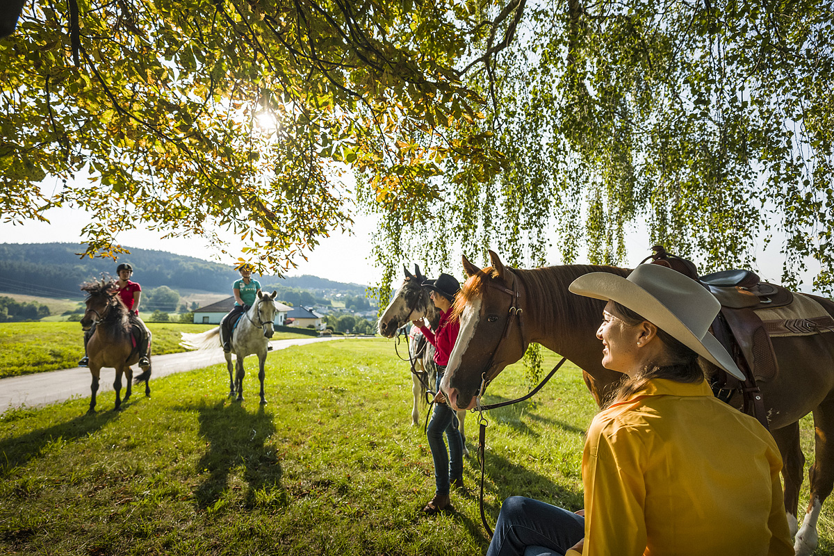 ALDIANA Club Ampflwang  28