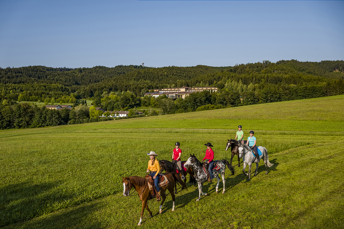 ALDIANA Club Ampflwang  29