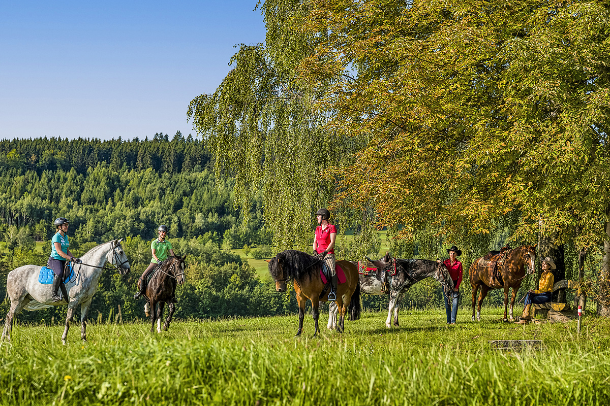 ALDIANA Club Ampflwang  30