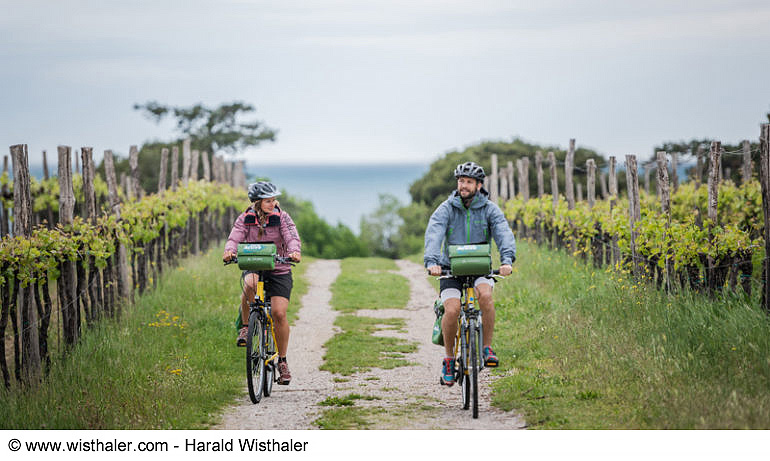 Bike Safari - Terst - Poreč 12
