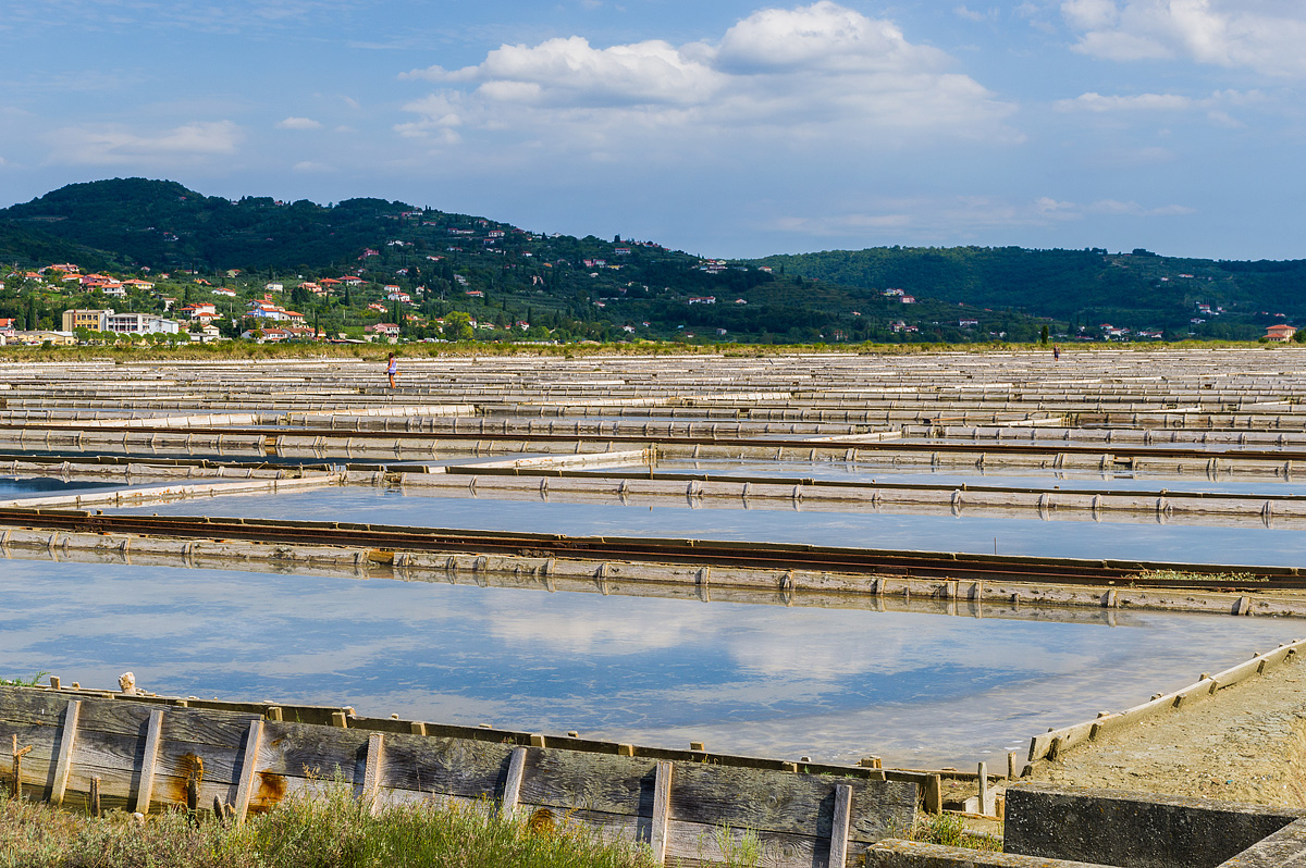 Bike Safari - Terst - Poreč 28