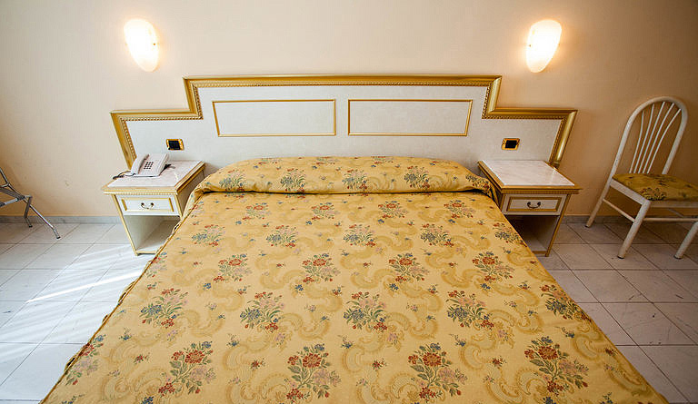 Hotel Alexander Palace 10