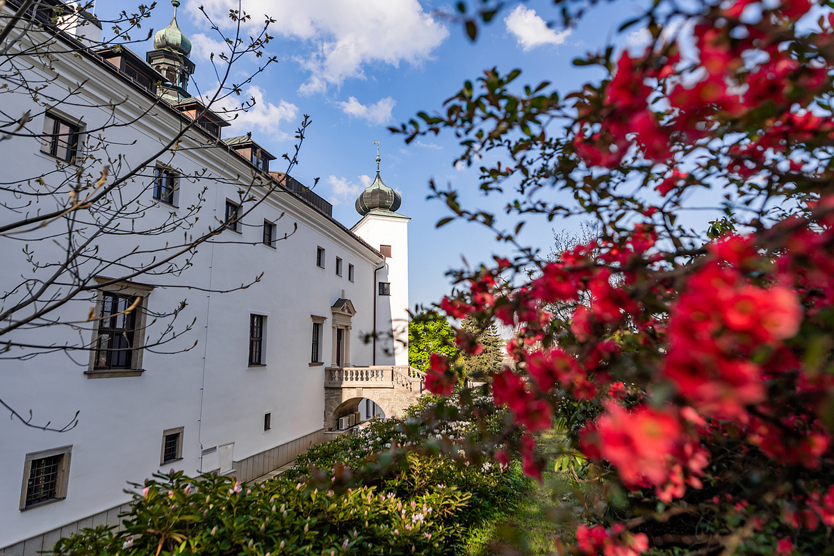 Zámek Třešť 5